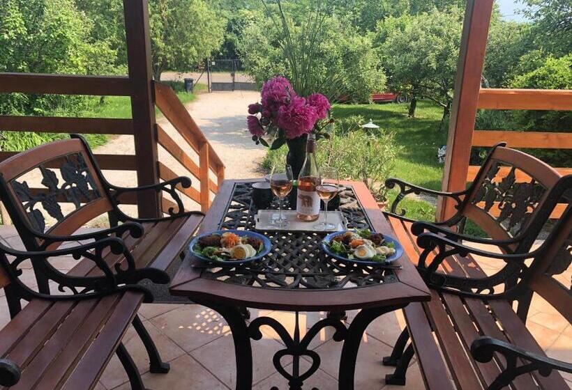 منزل غرفة نوم واحدة, Balaton Vendégház Paloznak