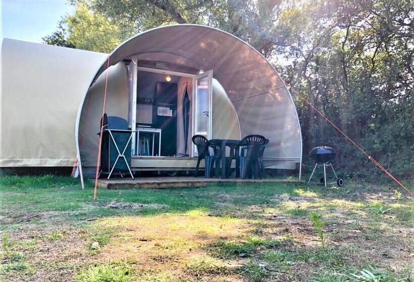 Standard Tent, Les Insolites Du Brochet