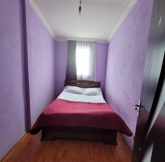اتاق اکونومی, Guesthouse Mose