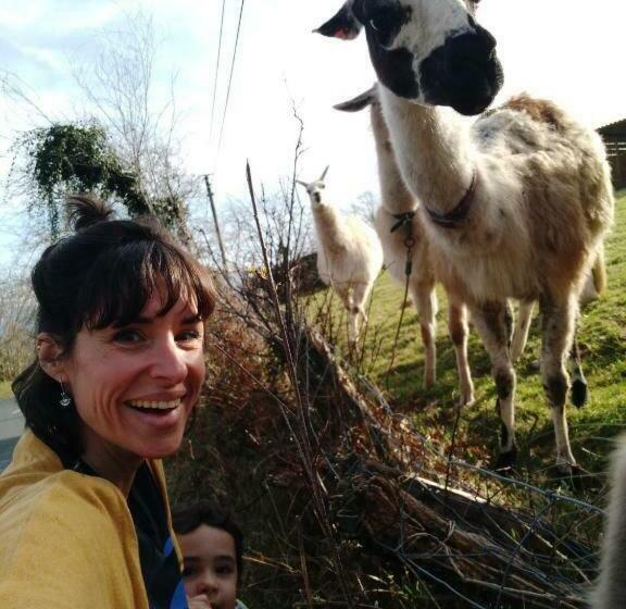 스탠다드 룸, Location Chambre Sare Larhun Zola 2022