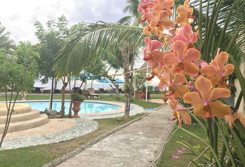 디럭스 룸 바다 전망, Cabilao Sunset Dive & Beach Resort