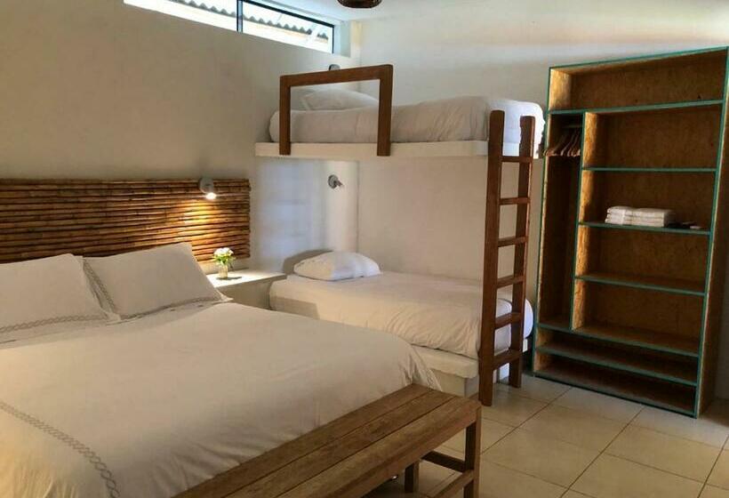 اتاق خانوادگی, Entre Palmeras