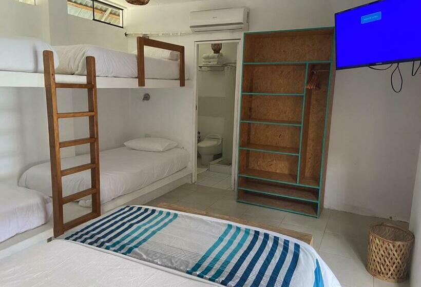 اتاق خانوادگی, Entre Palmeras