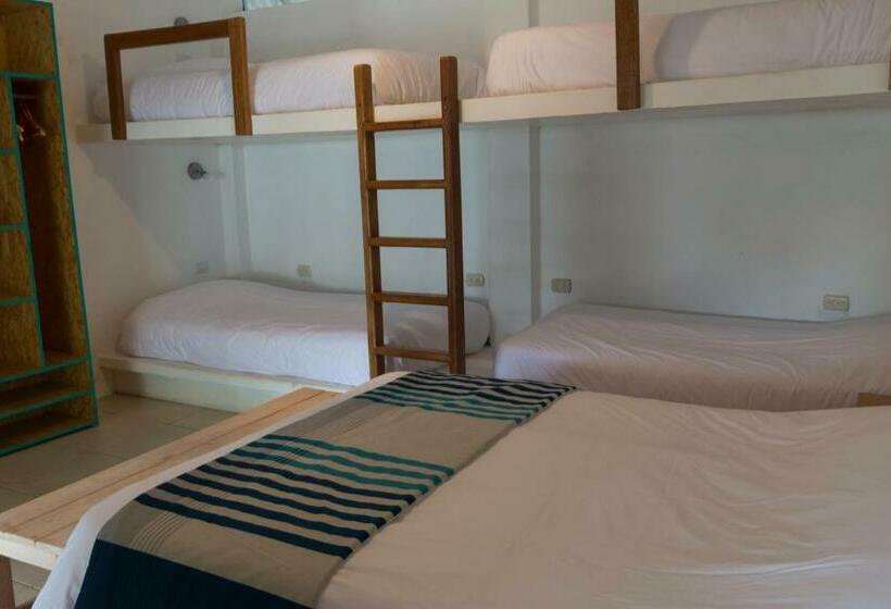 اتاق خانوادگی, Entre Palmeras