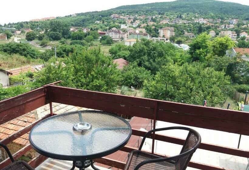 带1个卧室的带阳台的公寓, Guest House Astra