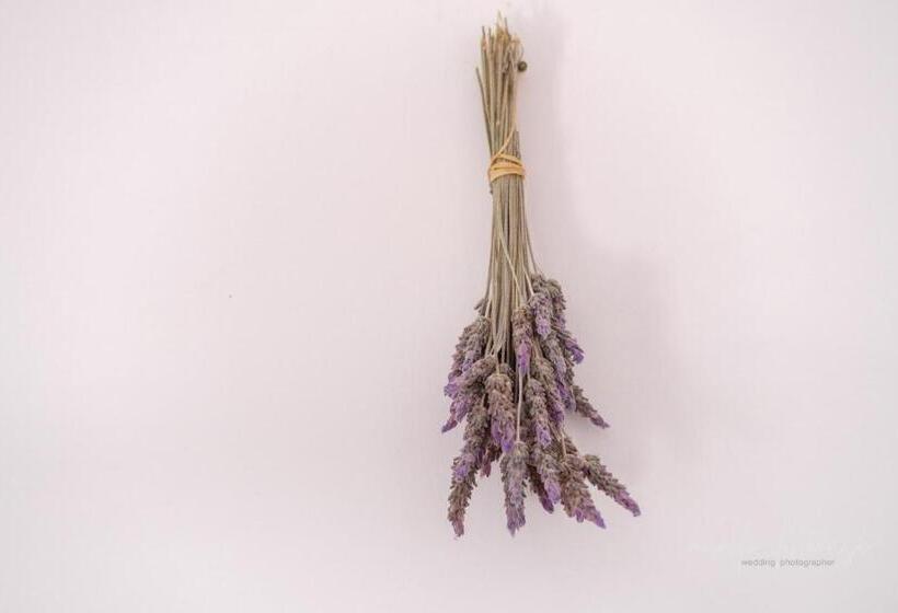 اتاق استاندارد با تخت بزرگ, Rooms Masseria Giangrande