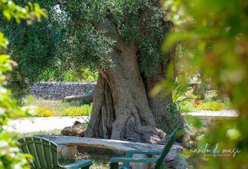 اتاق استاندارد, Rooms Masseria Giangrande