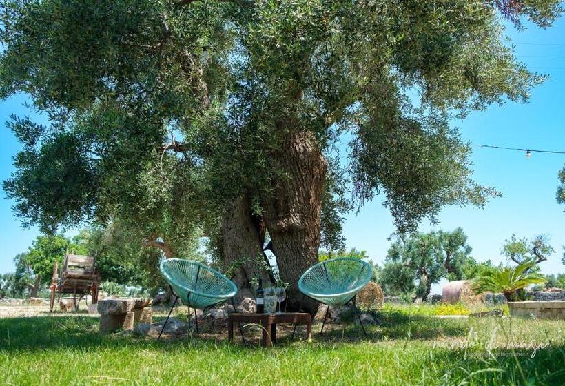 اتاق استاندارد, Rooms Masseria Giangrande