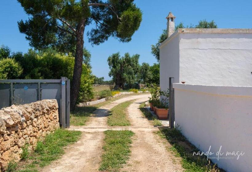 اتاق استاندارد, Rooms Masseria Giangrande