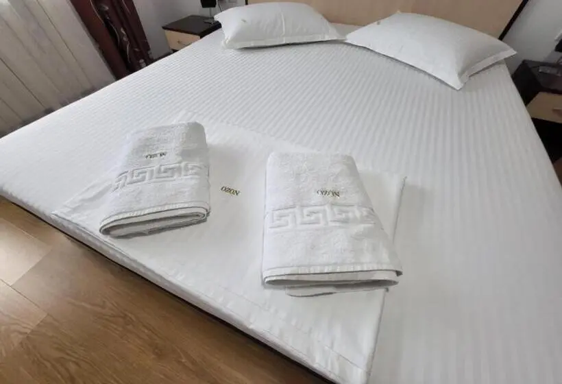 Cameră Standard Pat King Size, Vila Ozon