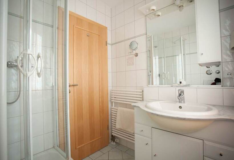 חדר סטנדרט יחיד, Deva Hotel Beim Egger