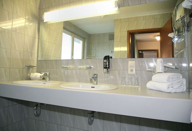 스탠다드 싱글 룸, Albhotel Fortuna
