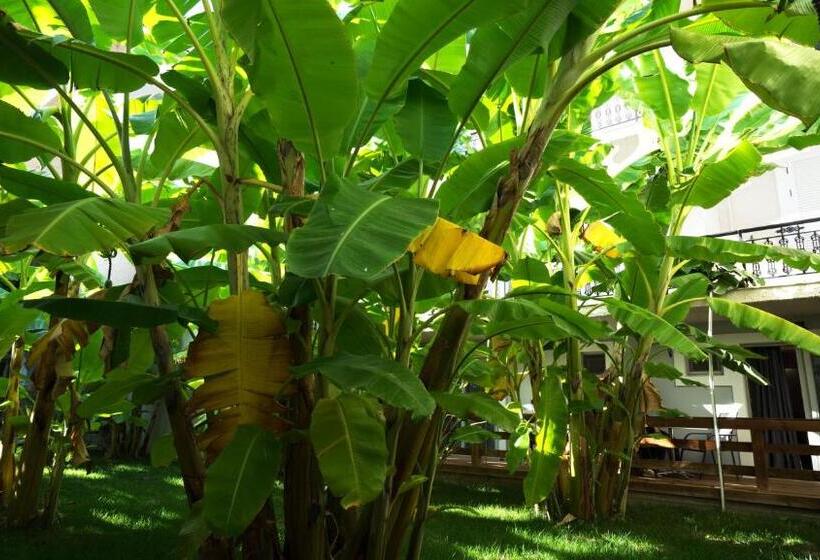 اتاق استاندارد, Crystal Beach