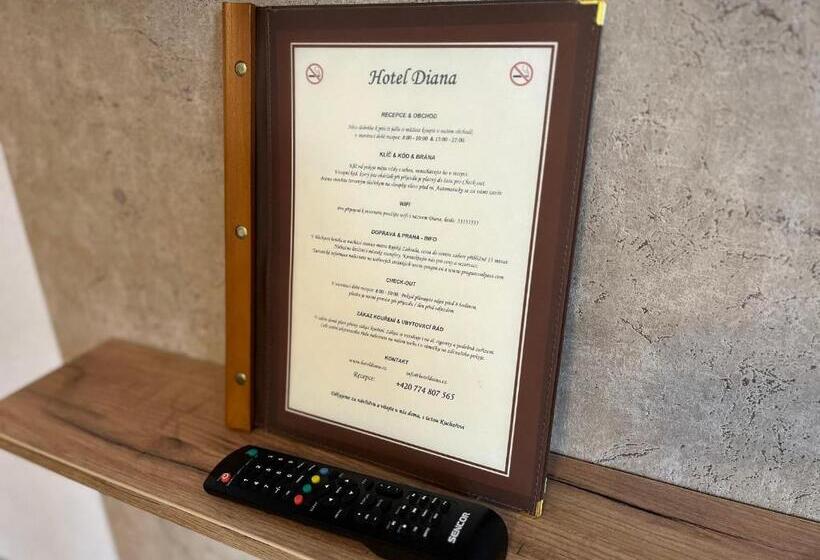 חדר סטנדרט יחיד, Diana Apartments