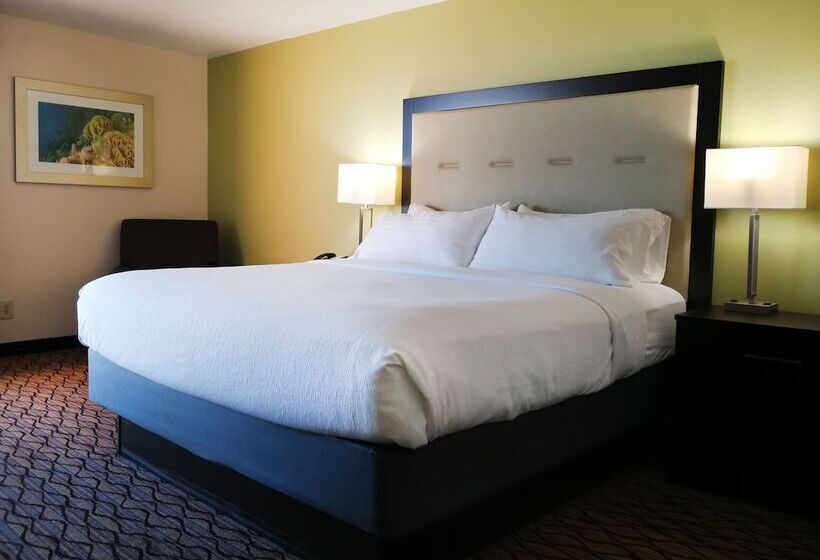חדר סטנדרט, Holiday Inn Corpus Christi Downtown Marina, An Ihg
