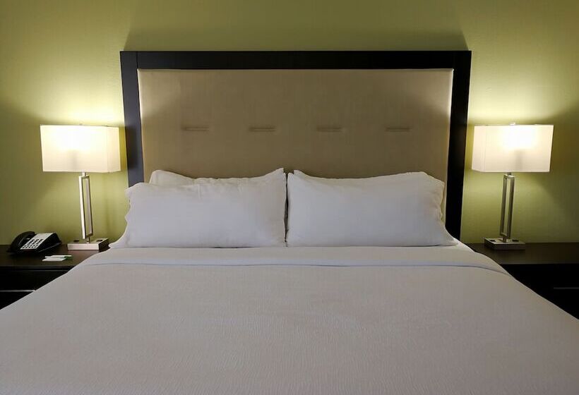 اتاق استاندارد, Holiday Inn Corpus Christi Downtown Marina, An Ihg