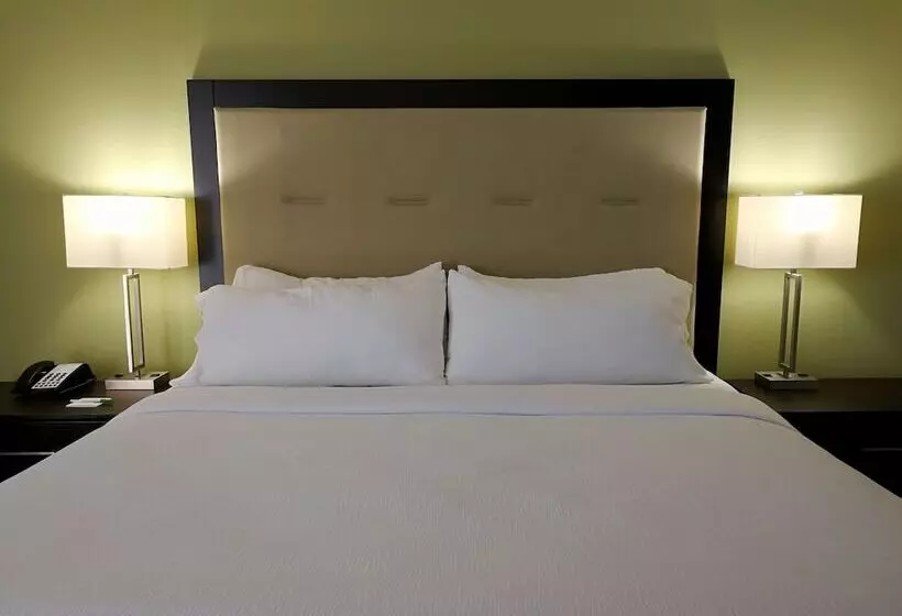 スタンダードルーム, Holiday Inn Corpus Christi Downtown Marina, An Ihg