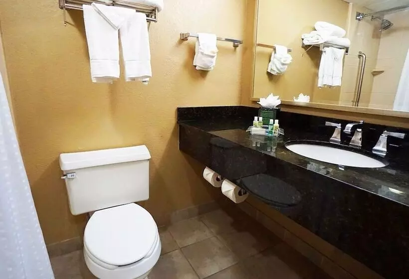 景色の見えるスイートルーム, Holiday Inn Corpus Christi Downtown Marina, An Ihg