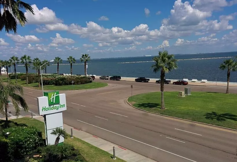 景色の見えるスイートルーム, Holiday Inn Corpus Christi Downtown Marina, An Ihg