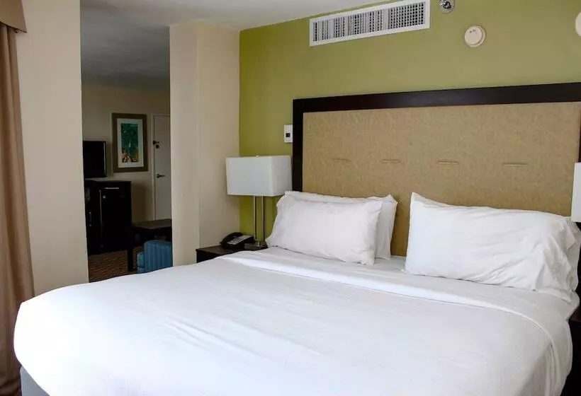 景色の見えるスイートルーム, Holiday Inn Corpus Christi Downtown Marina, An Ihg