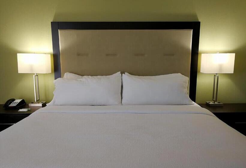 חדר סטנדרט עם מיטת קינג, Holiday Inn Corpus Christi Downtown Marina, An Ihg
