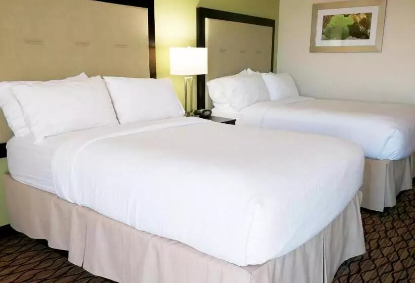 ２ダブルベッドのスタンダードルーム, Holiday Inn Corpus Christi Downtown Marina, An Ihg