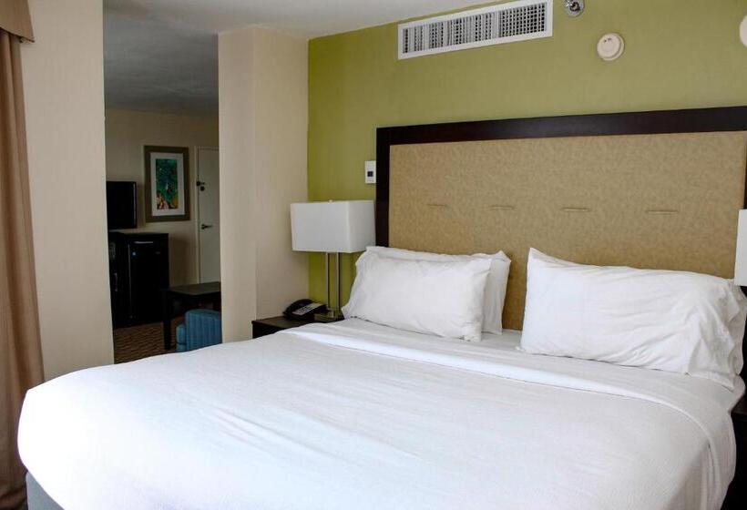 חדר סופריור עם מיטת קינג, Holiday Inn Corpus Christi Downtown Marina, An Ihg