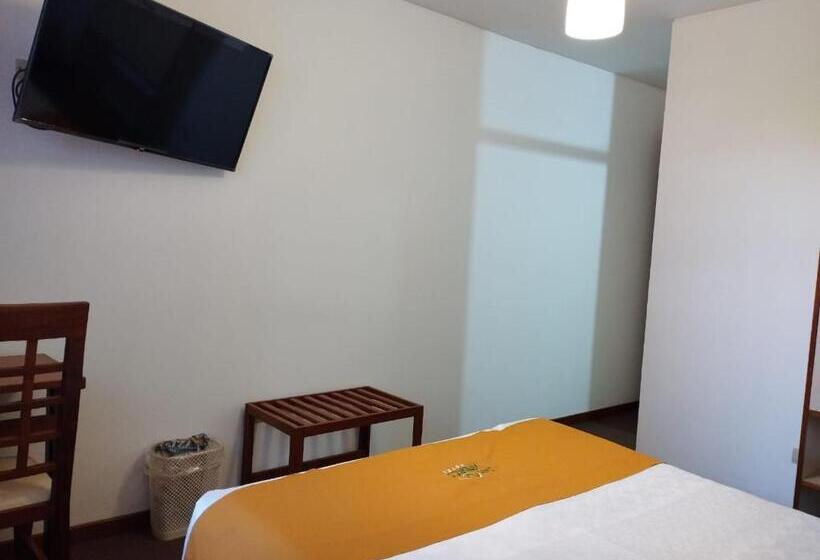 غرفة قياسية فردية, San Andres