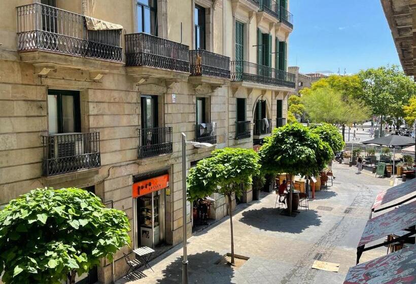 Номер Стандарт, Som Nit Port Vell