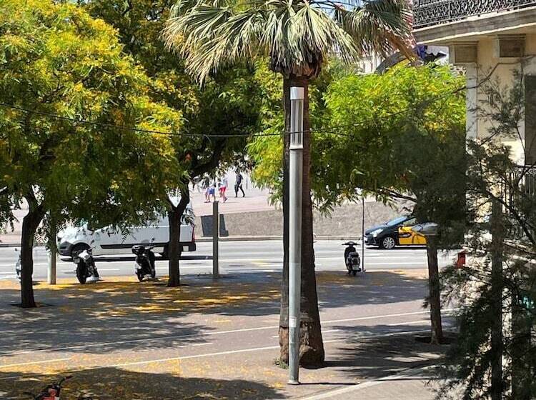 اتاق خانوادگی, Som Nit Port Vell