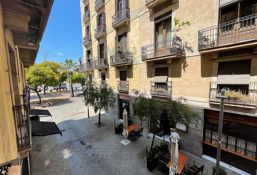 Номер Стандарт, Som Nit Port Vell