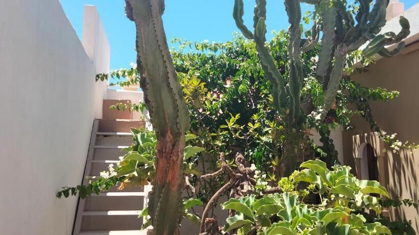 Апартаменты 1 Спальня с Террасой, Les étoiles Du Ksar