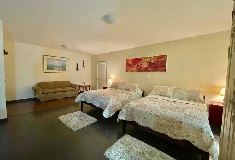 デラックスルーム, Casa Motta