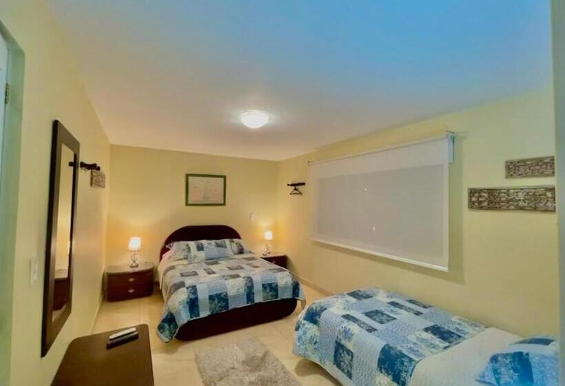 Номер Стандарт, Casa Motta