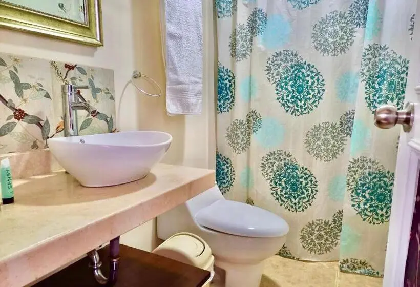 スタンダードルーム, Casa Motta