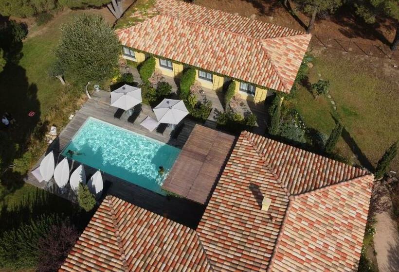 Номер Стандарт с Террасой, Villa Alivu Di Calvi