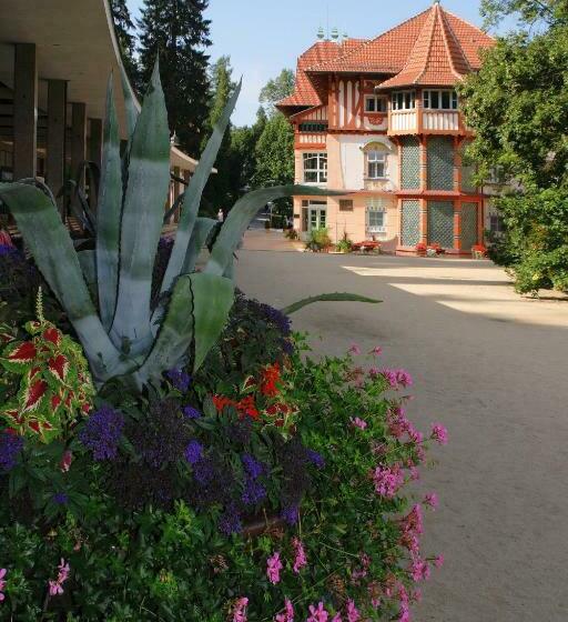 标准单人间, Jurkovičův Dům