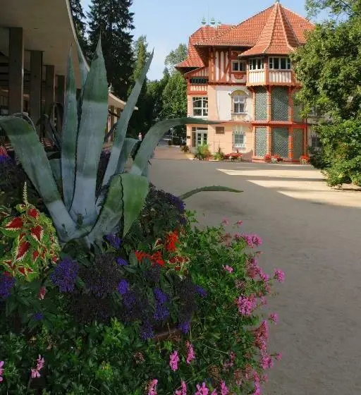 スタンダードシングルルーム, Jurkovičův Dům