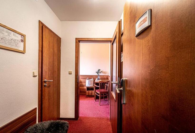 חדר דלוקס, Sluníčko