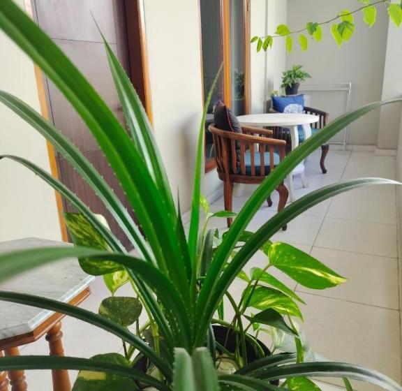 غرفة سوبيريور سرير كينج, Su S Cottages Legian