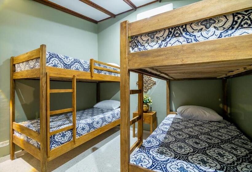 חדר סטנדרט לארבעה, Scalea Di Mare