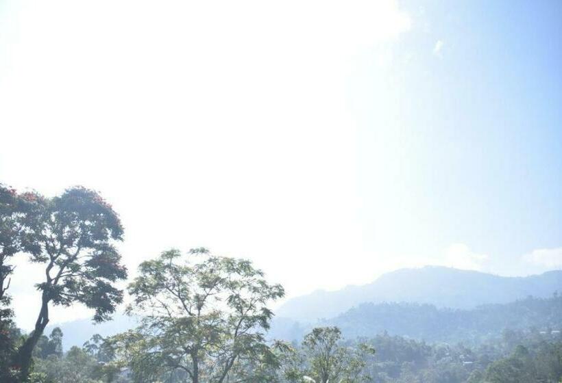 ファミリールーム, Mountain Top Guest