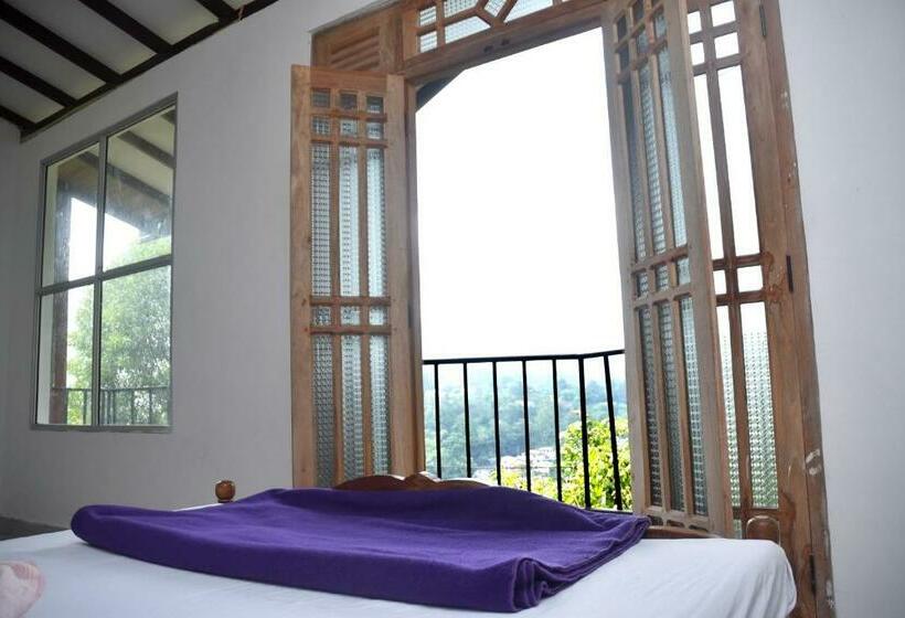 ファミリールーム, Mountain Top Guest