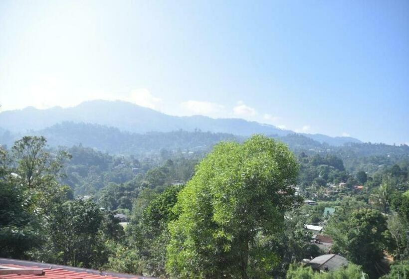 ファミリールーム, Mountain Top Guest