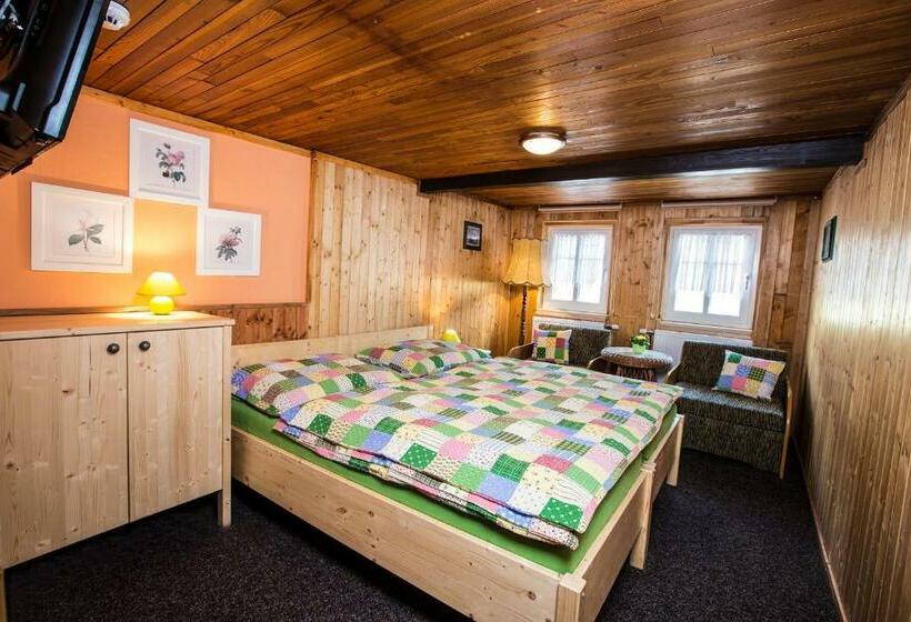 غرفة قياسية, Penzion A+a