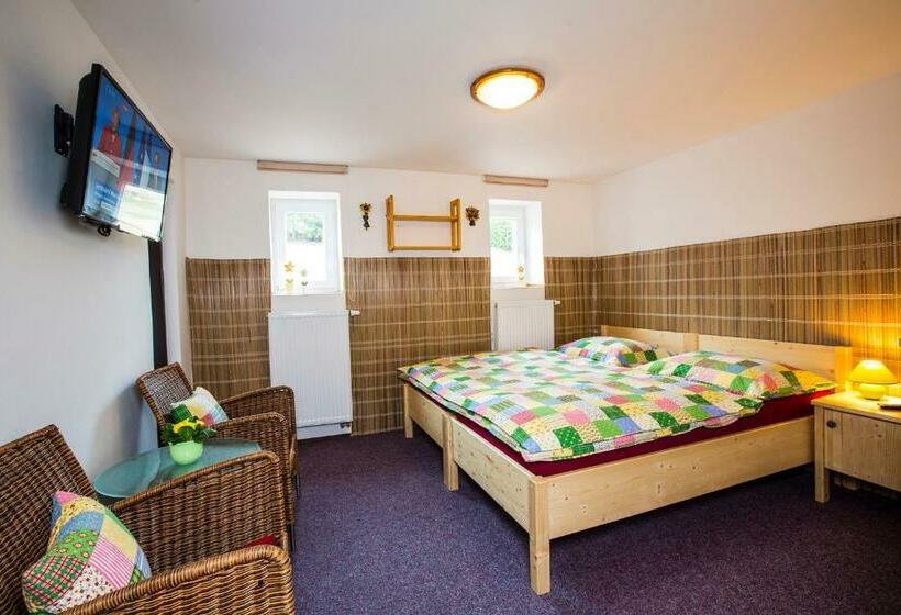 غرفة قياسية, Penzion A+a