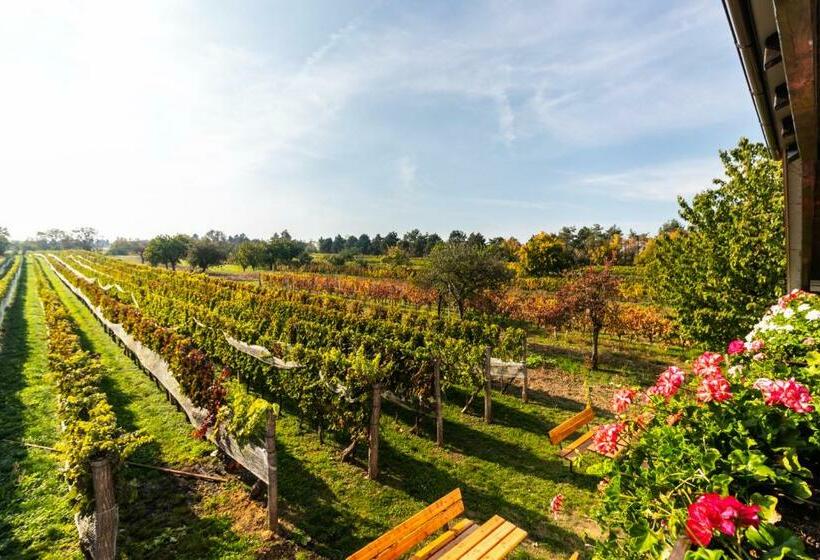 スタンダード4人部屋, Vinařství Výmola