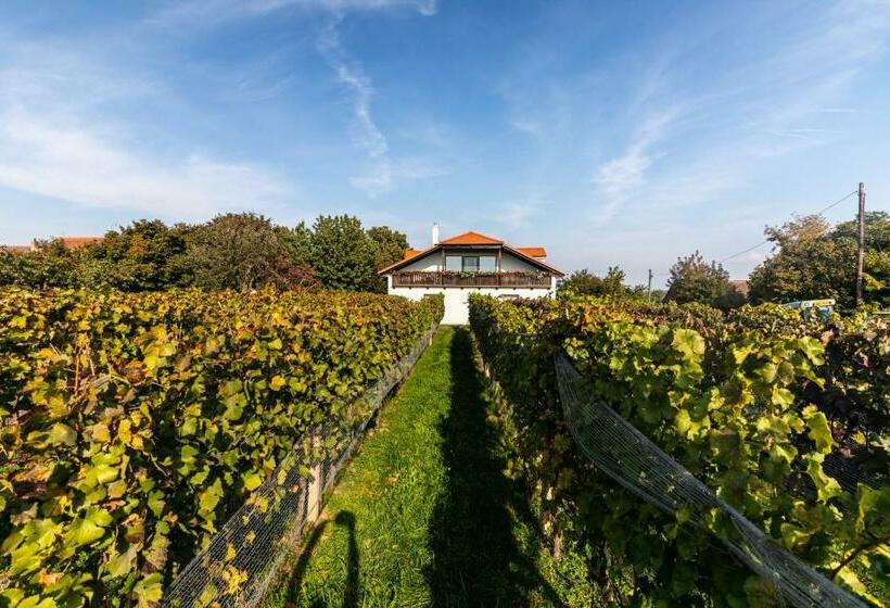 スタンダード4人部屋, Vinařství Výmola