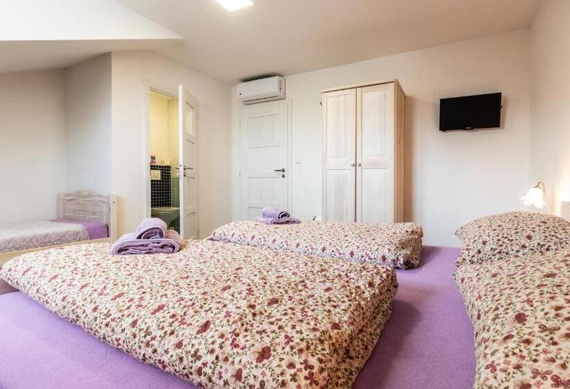 スタンダードトリプルルーム, Vinařství Výmola