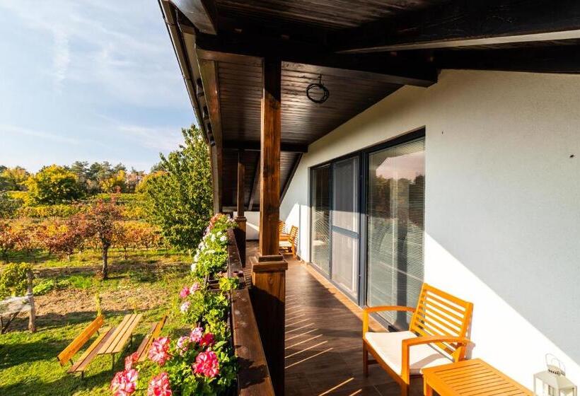 スタンダードトリプルルーム, Vinařství Výmola